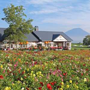 レークヒル ファーム 北海道虻田郡洞爺湖町花和 アイスクリーム クレープ パフェ Yahoo ロコ