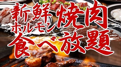 焼肉食べ放題の大衆焼肉居酒屋 タイガー 岐阜駅店 岐阜県岐阜市長住町 その他 Yahoo ロコ