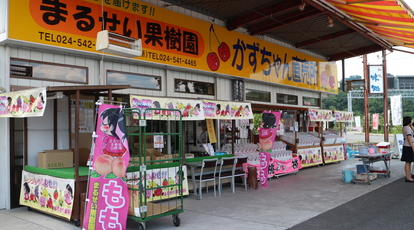 まるせい果樹園 福島県福島市飯坂町平野 果物 フルーツショップ Yahoo ロコ