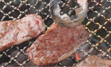 卸 南越谷食肉センター 極 埼玉県越谷市南越谷 焼肉 Yahoo ロコ