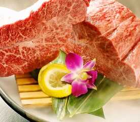 肉屋の台所 町田ミート 東京都町田市森野 焼肉 Yahoo ロコ