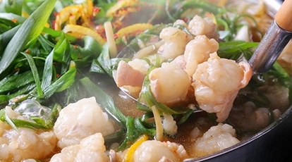 博多もつ鍋 いっぱち 天王寺店 大阪府大阪市阿倍野区阿倍野筋 和風居酒屋 Yahoo ロコ