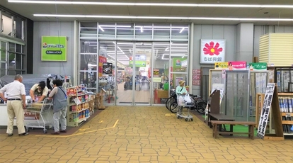 ほけんの110番 ジョイフル本田千葉ニュータウン店 千葉県印西市牧の原 保険業 Yahoo ロコ