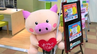 ほけんの110番 ジョイフル本田千葉ニュータウン店 千葉県印西市牧の原 保険業 Yahoo ロコ