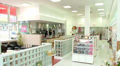 Cafe Dogs Boweyes 宮城県仙台市泉区松森 ドッグカフェ Yahoo ロコ