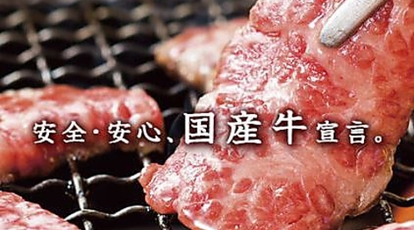 スエヒロ館 焼肉 南砂店 東京都江東区南砂 ファミレス Yahoo ロコ