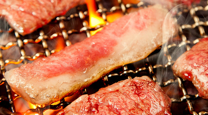 焼肉ホルモン 神田商店 町田店 旨い 安い コスパ抜群 東京都町田市原町田 焼肉 ホルモン Yahoo ロコ