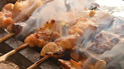 焼き鳥 たてまり 愛媛県松山市空港通 居酒屋 Yahoo ロコ
