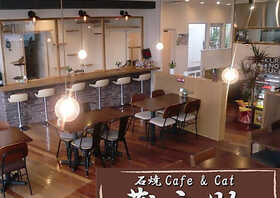 猫カフェ Tango 京都府京都市右京区西院西平町 カフェ Yahoo ロコ