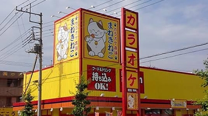 カラオケまねきねこ 岩井店 茨城県坂東市辺田 カラオケ Yahoo ロコ