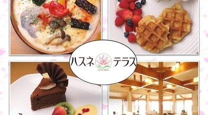 ハスネテラス 石川県金沢市木越町 カフェ スイーツ Yahoo ロコ