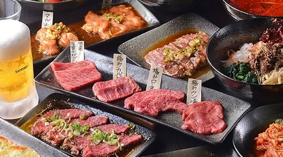 新横浜 焼肉 まんまる 神奈川県横浜市港北区新横浜 焼肉 ホルモン Yahoo ロコ