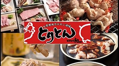 大衆焼肉居酒屋 とりとん 豊橋店 愛知県豊橋市駅前大通 焼肉 ホルモン Yahoo ロコ