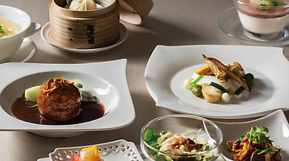 ホテルグランヒルズ静岡 中国料理 富翠珠 静岡県静岡市駿河区南町 中華料理 Yahoo ロコ