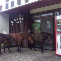 全国のホテル 旅館のお店 施設一覧 23件 Yahoo ロコ