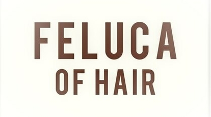 フェルーカ オブ ヘアー 仙北店 Feluca Of Hair 岩手県盛岡市西仙北 Yahoo ロコ