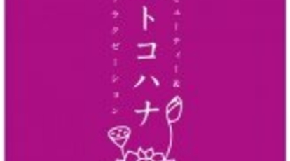 トコハナ 神奈川県藤沢市南藤沢 リラクゼーション Yahoo ロコ