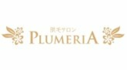 医療提携サロン プルメリア 久留米上津バイパス店 Plumeria 福岡県久留米市荒木町白口 まつげ メイクなど Yahoo ロコ