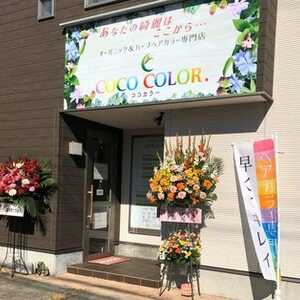 ココカラー Coco Color 静岡県静岡市清水区月見町 サービス Yahoo ロコ