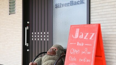 ジャズシルバーバック Jazz Silver Back 滋賀県彦根市駅東町 美容室 美容院 Yahoo ロコ