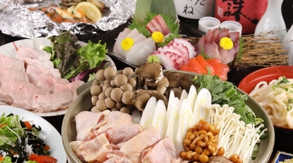 全席個室居酒屋 創作和酒処 海ざん ひたちなか店 茨城県ひたちなか市東大島 焼き鳥 Yahoo ロコ
