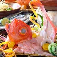 居酒屋 ほりかわ 浜松 静岡県浜松市中区田町 居酒屋 Yahoo ロコ