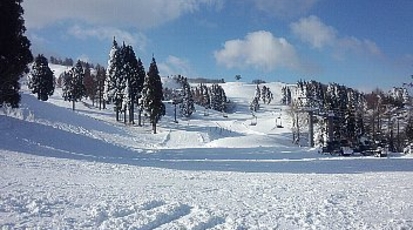 場 白鳥 高原 スキー