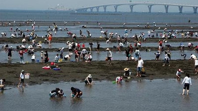 金田海岸潮干狩場 千葉県木更津市北浜町 漁業協同組合 Yahoo ロコ