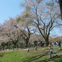 石川県の植物園のお店 施設一覧 6件 Yahoo ロコ