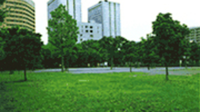 都立青山公園 東京都港区六本木 レジャー公園 Yahoo ロコ