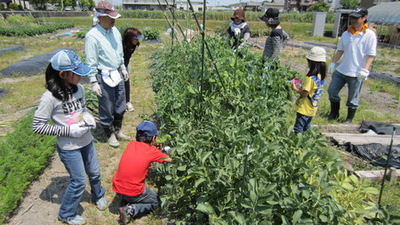 なら花畑 秋篠 農園 奈良阪農園 奈良県奈良市秋篠町 Yahoo ロコ