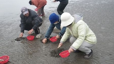 和間海浜公園 大分県宇佐市大字岩保新田 Yahoo ロコ