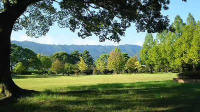 福岡県緑化センター 福岡県久留米市田主丸町益生田 植物園 Yahoo ロコ