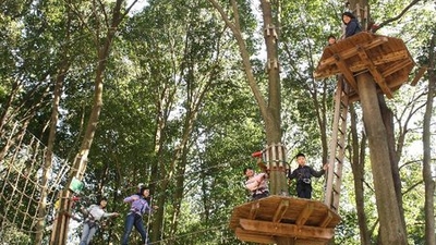 フォレストアドベンチャーおおひら 栃木県栃木市大平町西山田 公園 Yahoo ロコ