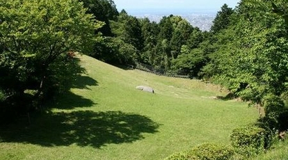 油山市民の森草スキー場 福岡県福岡市城南区大字東油山 その他のスポーツ施設 小規模 Yahoo ロコ