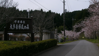 千葉県立大多喜県民の森 千葉県夷隅郡大多喜町大多喜 キャンプ場 Yahoo ロコ