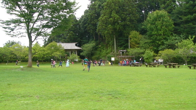 千葉県立大多喜県民の森 千葉県夷隅郡大多喜町大多喜 キャンプ場 Yahoo ロコ