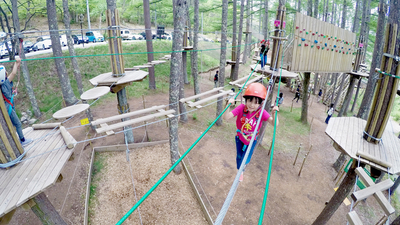 フォレストアドベンチャー 蓼科 長野県茅野市北山 公園 Yahoo ロコ