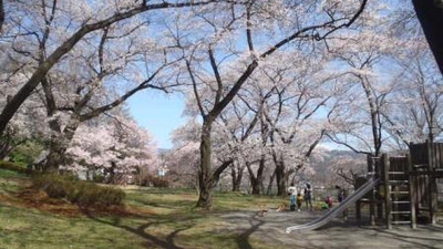 伊那公園 長野県伊那市中央 レジャー公園 Yahoo ロコ