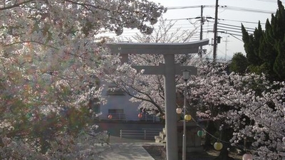 護国神社 兵庫県神戸市灘区篠原北町 花の名所 Yahoo ロコ