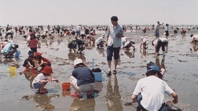 木更津海岸潮干狩場 中の島公園 千葉県木更津市中の島 Yahoo ロコ