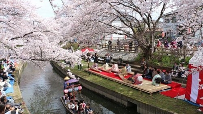 吹上元荒川の桜 埼玉県鴻巣市吹上本町 Yahoo ロコ