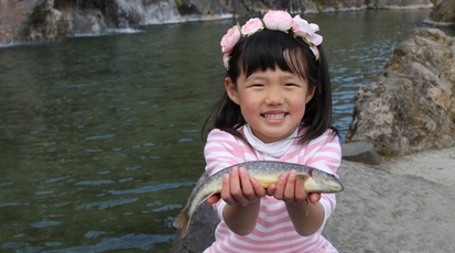 滝のある釣堀 那須高原 清流の里 栃木県那須郡那須町大字高久乙 和食 Yahoo ロコ