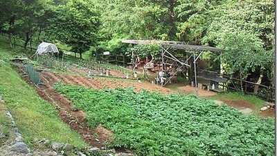 クラインガルテン野良坊 東京都あきる野市養沢 旅館 Yahoo ロコ