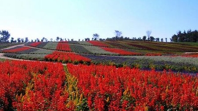 那須フラワーワールド 栃木県那須郡那須町大字豊原丙 Yahoo ロコ