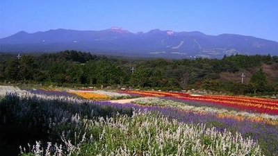 那須フラワーワールド 栃木県那須郡那須町大字豊原丙 Yahoo ロコ