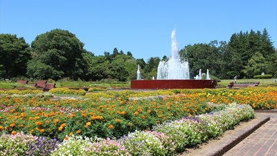 茨城県植物園温室 茨城県那珂市戸 Yahoo ロコ