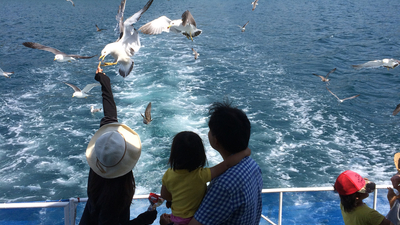 笹川流れ観光汽船 笹川流れ海カフェ 新潟県村上市桑川 サービス Yahoo ロコ