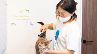 ペット美容室 ていだ 愛媛県伊予郡松前町大字筒井 ペットサロン トリミング Yahoo ロコ