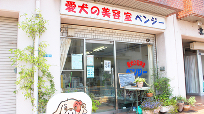 愛犬の美容室 ベンジー 大阪府貝塚市加神 ペットサロン トリミング Yahoo ロコ